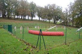 terrain agility.jpg terrain agility.jpg